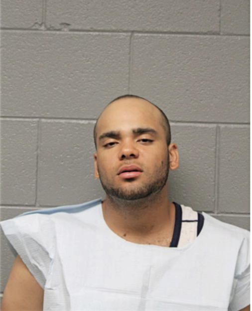BRYAN VIGO, Cook County, Illinois