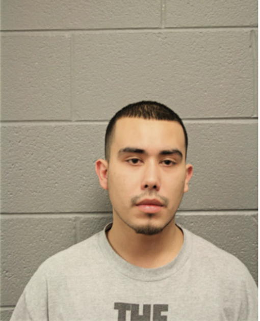 OCTAVIO BACA, Cook County, Illinois