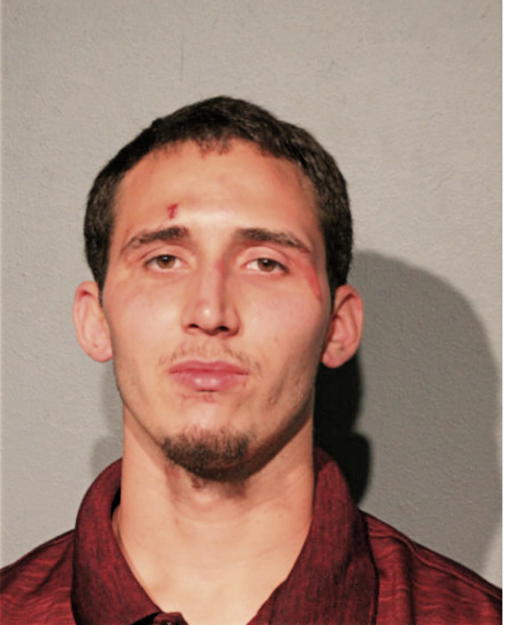 MITCHELL HENRY CLEMONS, Cook County, Illinois