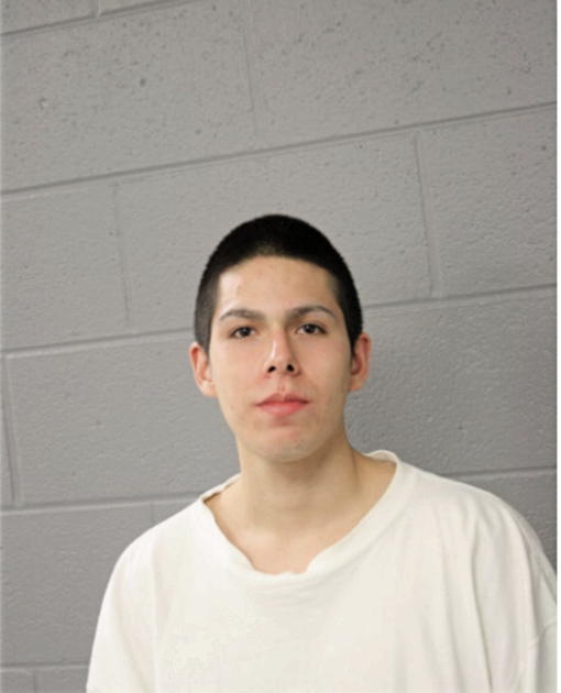 OSCAR DELGADO, Cook County, Illinois