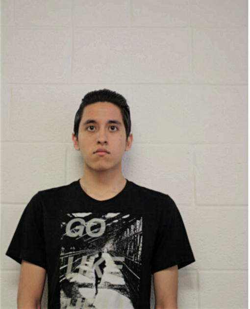 HECTOR DAVID FAVELA, Cook County, Illinois