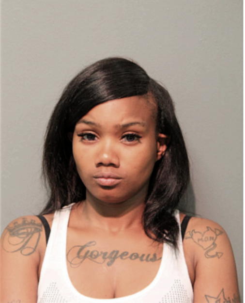 DANA R FORD, Cook County, Illinois