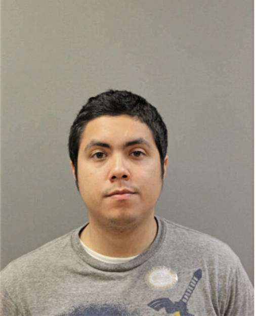 IRVING GARCIA, Cook County, Illinois