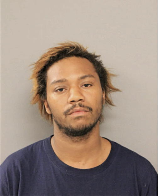 MATTHEW A HARRIS, Cook County, Illinois
