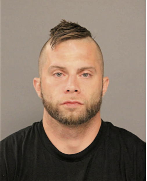 ALAN R HERMAN, Cook County, Illinois
