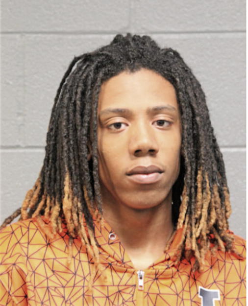 ENRIQUE C HOLLINS, Cook County, Illinois