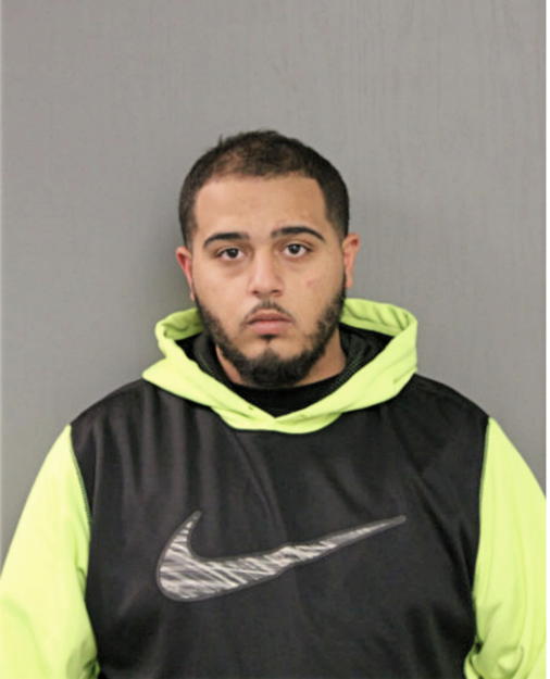 AYHAM H HOSHAN, Cook County, Illinois
