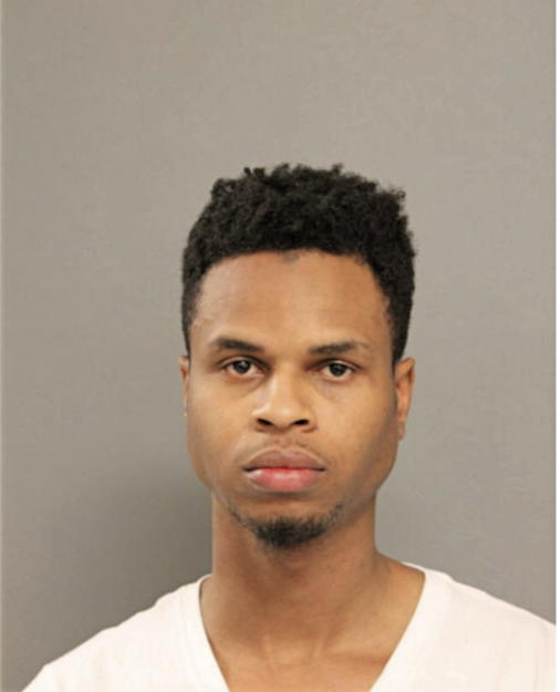 DENIKKO JOHNSON, Cook County, Illinois