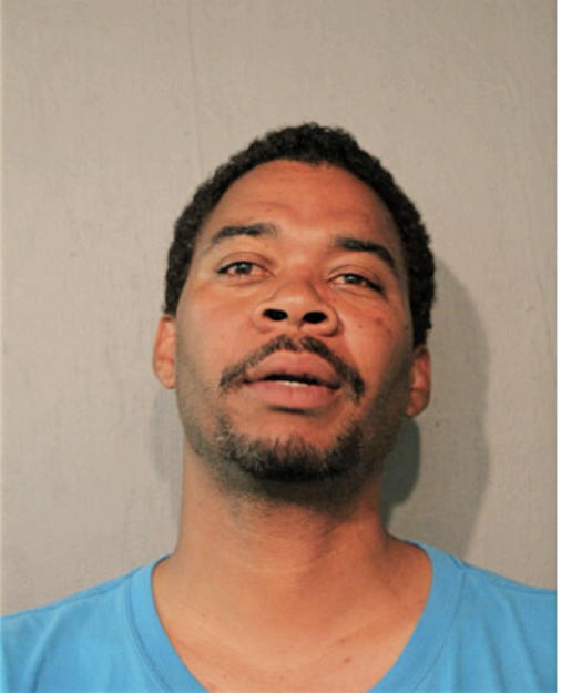 MICHAEL L JOHNSON, Cook County, Illinois