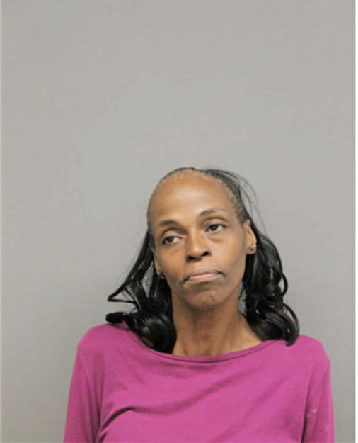 DEBRA D KING, Cook County, Illinois