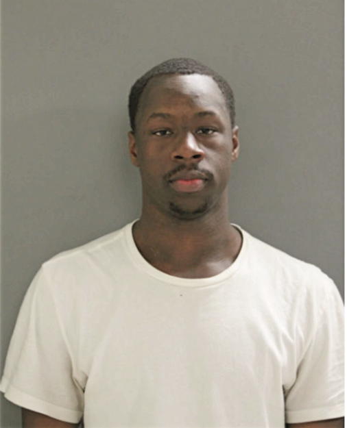 LAWRENCE J LONGSTREET, Cook County, Illinois