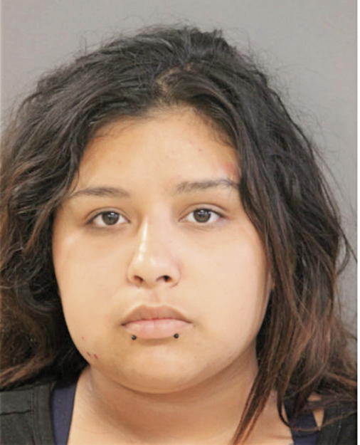 DESTNEY T LOPEZ, Cook County, Illinois