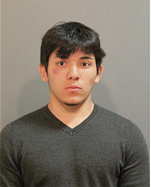 LUKE A M FLORES, Cook County, Illinois