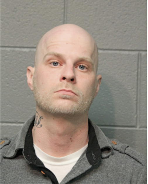 STEVEN L MEADOWS, Cook County, Illinois