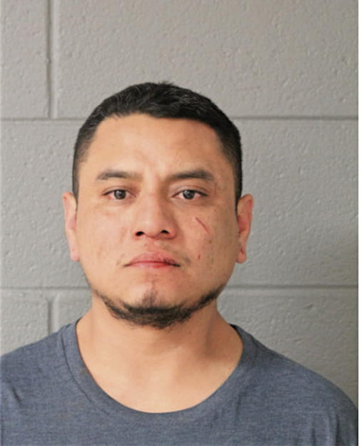 JOSE GERALDO NIEVES NIEVES, Cook County, Illinois