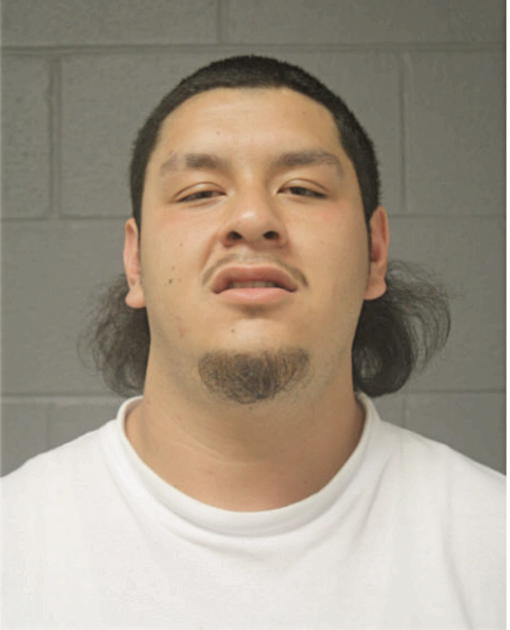MIGUEL OCHOA, Cook County, Illinois