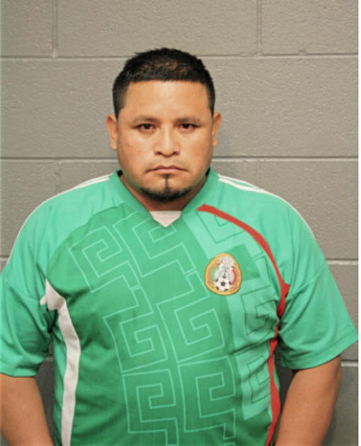 EVERARADO ORTEGA-VANEGAS, Cook County, Illinois