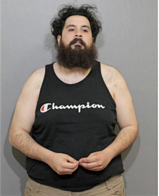 CHRISTIAN B ORTIZ, Cook County, Illinois