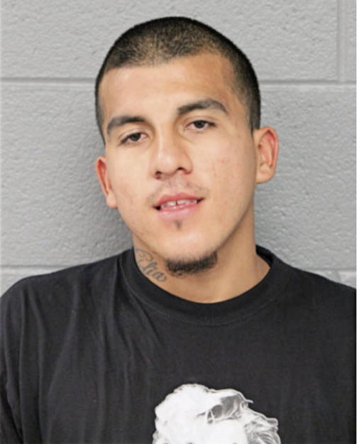 JOSE L ORTIZ, Cook County, Illinois