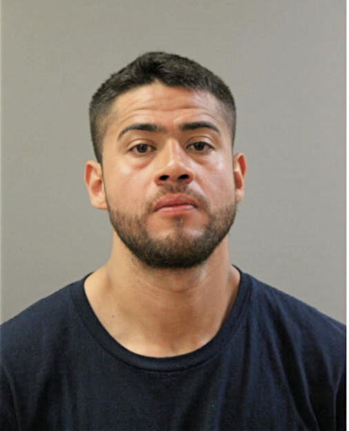 FABIN PEREZ, Cook County, Illinois