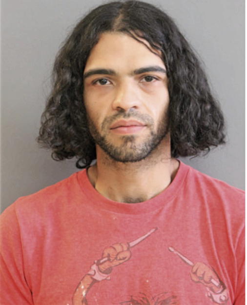CHRISTOPHER ROBINSON, Cook County, Illinois