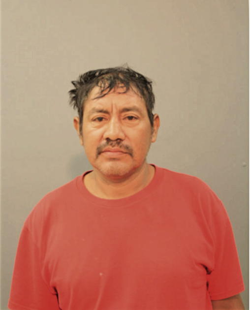 MANUEL TORO, Cook County, Illinois