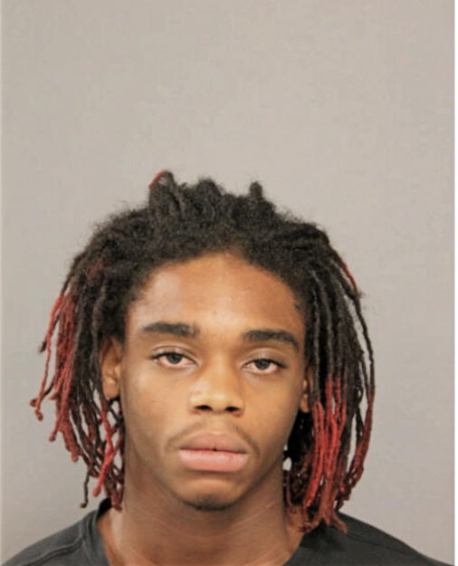 MICHAEL R TYNER, Cook County, Illinois
