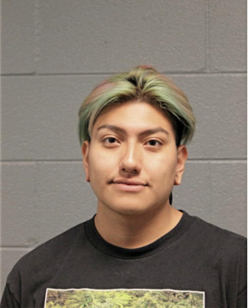 MICHAEL VALDEZ, Cook County, Illinois