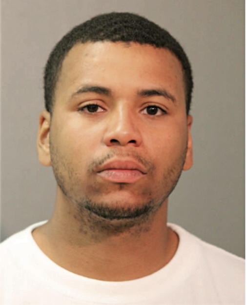 ANGELO D WARREN, Cook County, Illinois
