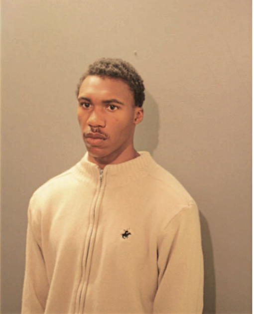 DIOP YOUNG, Cook County, Illinois