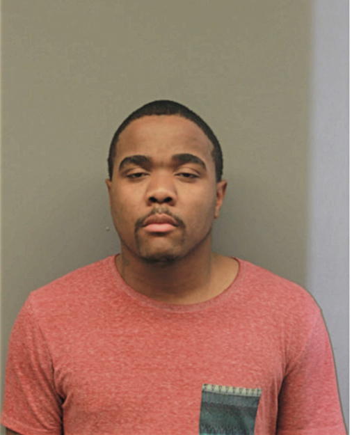 FRANKIE R ANDERSON-DIXON, Cook County, Illinois
