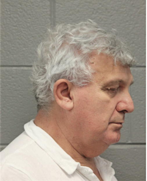 NEBOJSA BOJOVIC, Cook County, Illinois