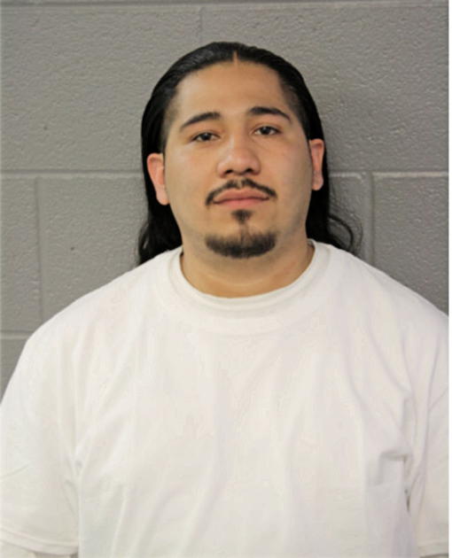 NICOLAS DIAZ, Cook County, Illinois