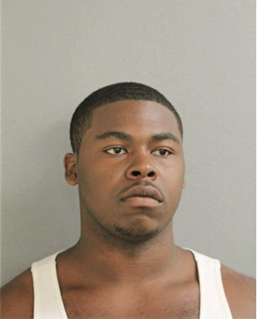 WAYNE A GUIDER, Cook County, Illinois
