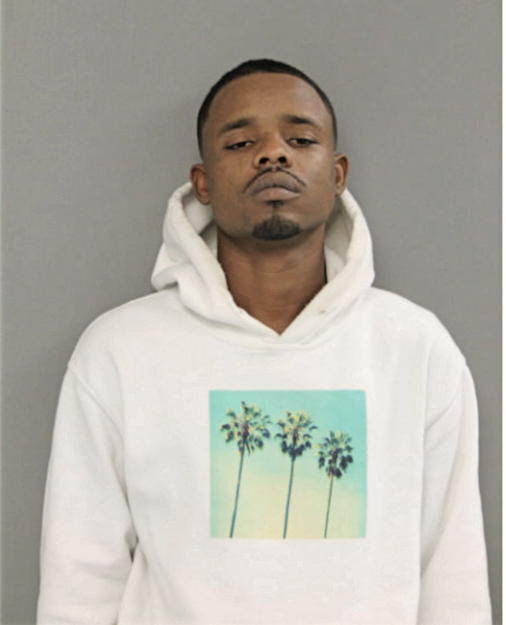 TERRILL T HAYES, Cook County, Illinois