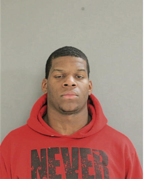AARON L JONES, Cook County, Illinois