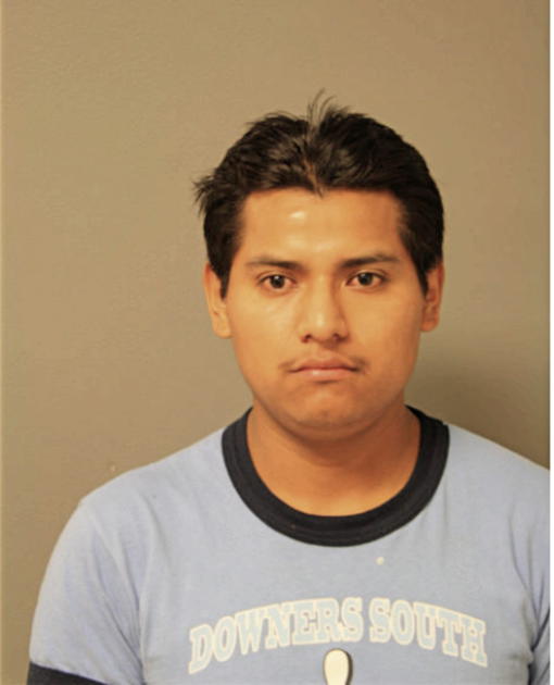 ALEJANDRO LAGUNAS, Cook County, Illinois