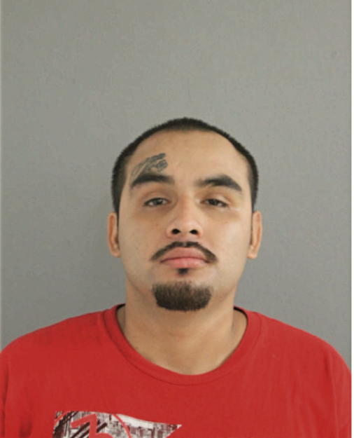 BRIAN I MANAJAREZ, Cook County, Illinois