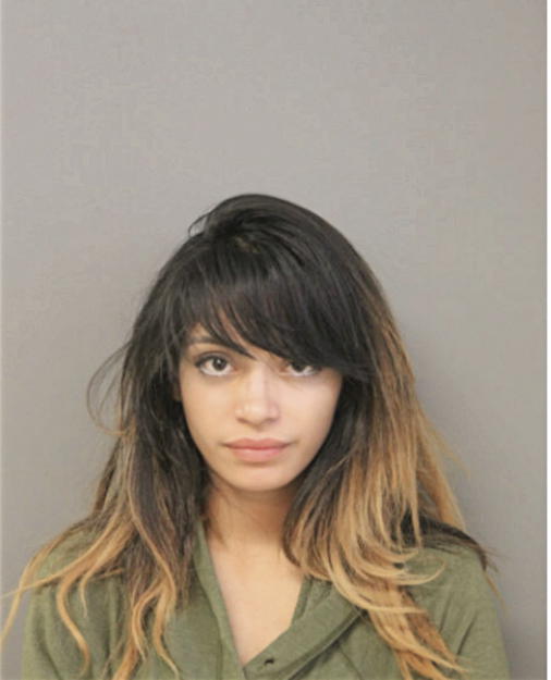 EMILY ANN MENDEZ, Cook County, Illinois