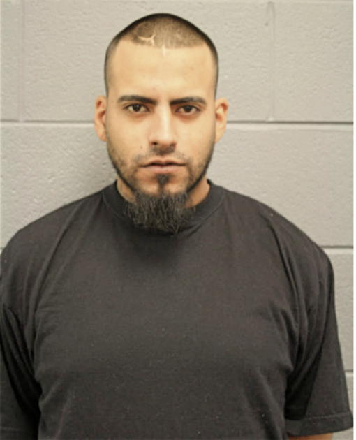 LUIS A MIRANDA, Cook County, Illinois