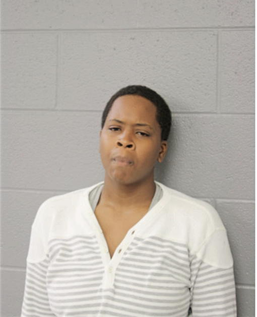 AMANDA S MORRIS, Cook County, Illinois
