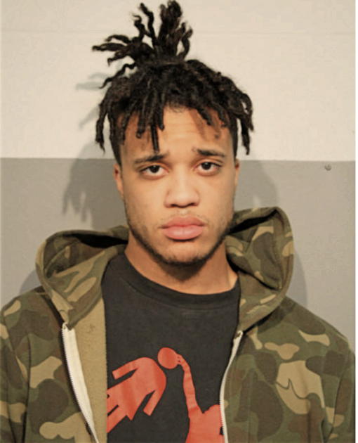 DAVID R NORFLEET, Cook County, Illinois
