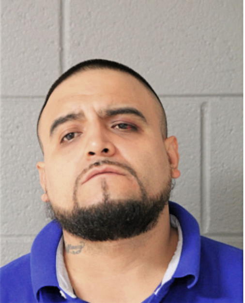 ANGELO PINA, Cook County, Illinois