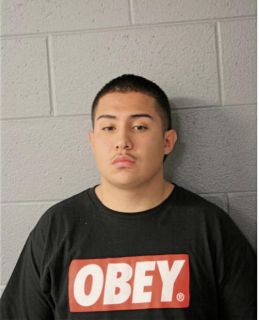 ADAN RODRIGUEZ, Cook County, Illinois