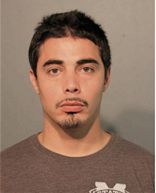 MANUEL A RODRIGUEZ, Cook County, Illinois