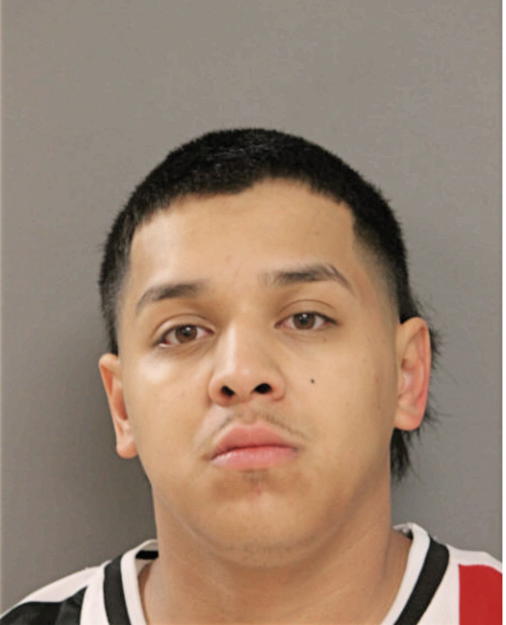 ALBERT G SANDOVAL, Cook County, Illinois