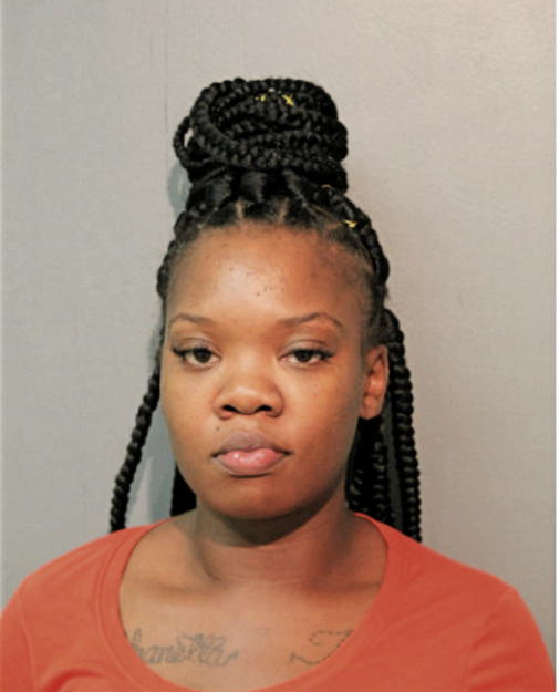 TAMARA L SHORTER, Cook County, Illinois