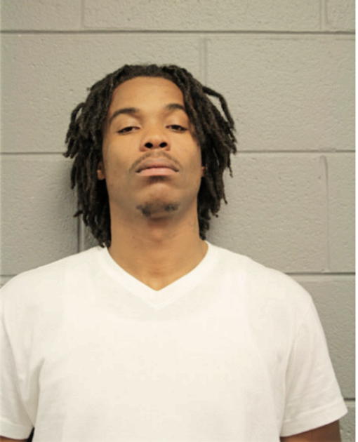 LEE J STEVENSON, Cook County, Illinois