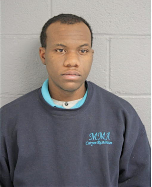 BRANDON P TAYLOR, Cook County, Illinois
