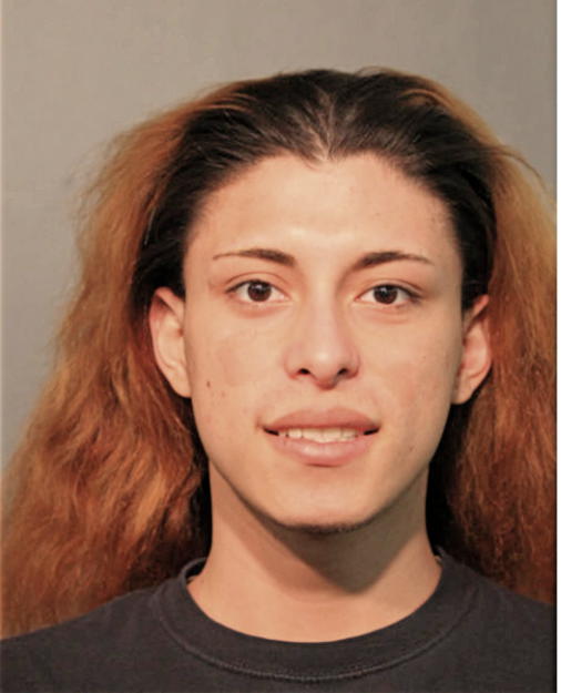 MARVIN G BONILLA, Cook County, Illinois